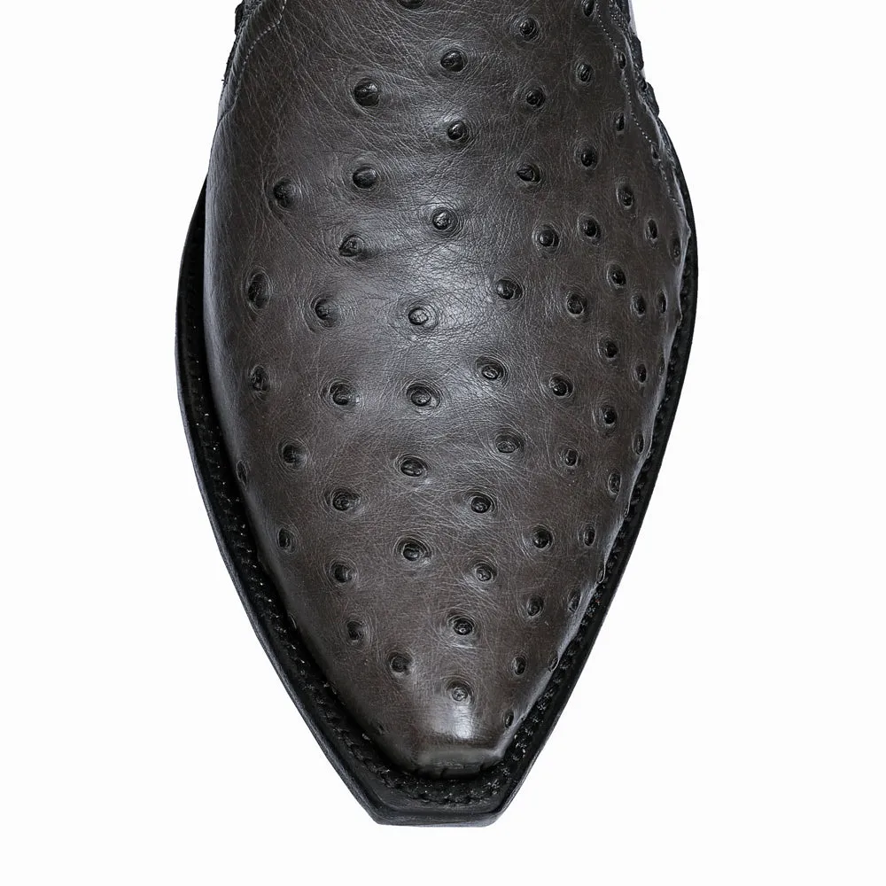 Ostrich Ankle Zipper - Anthracite