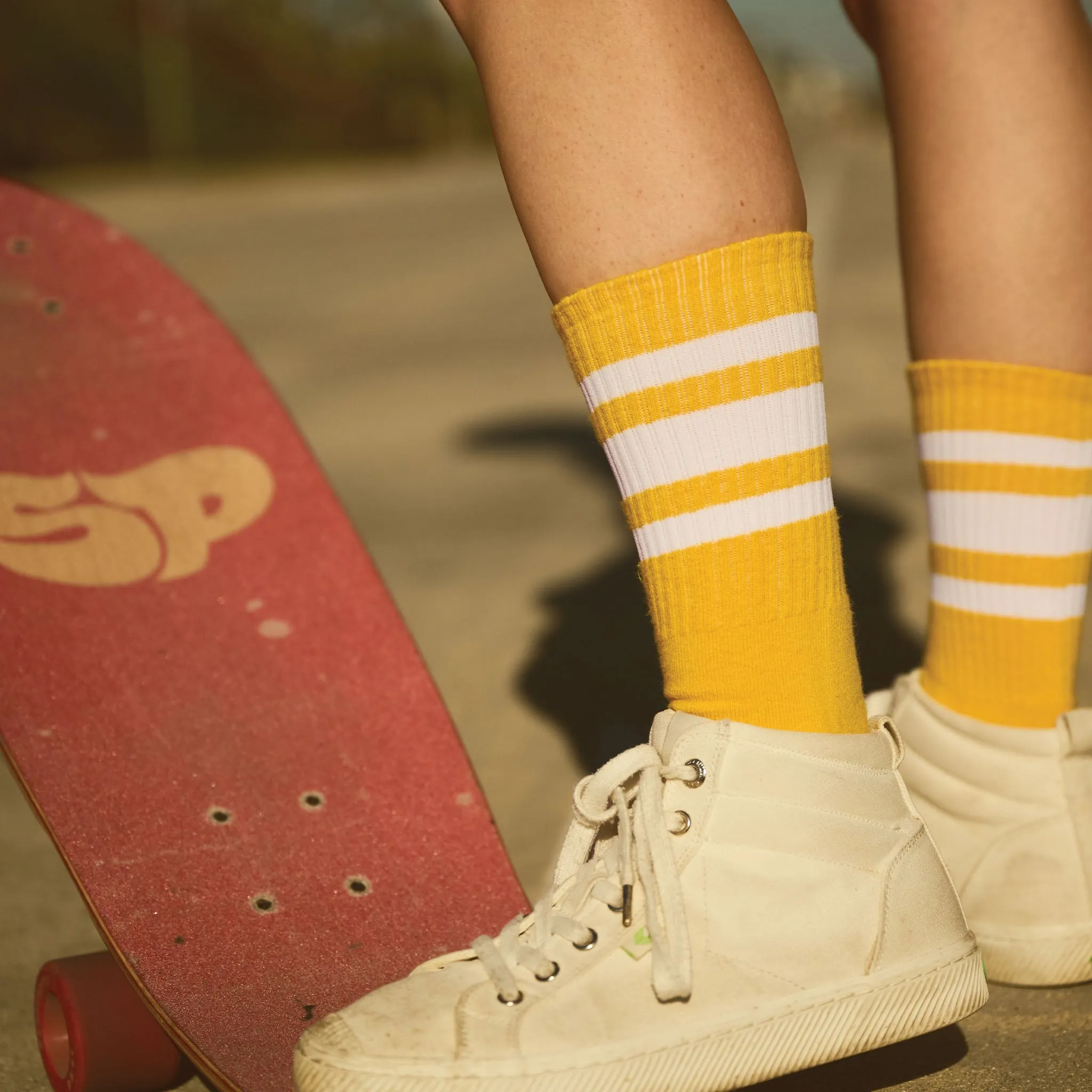 White Striped Socks | Gold